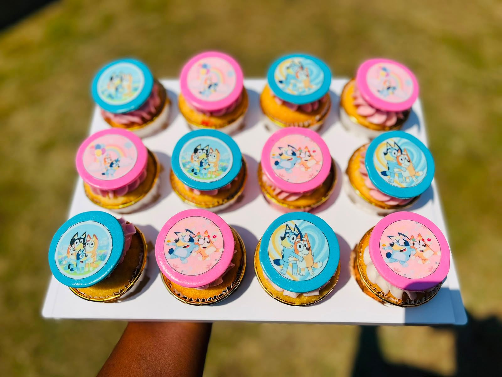 Bluey Cupcakes by Baked by Buhlebenkosi