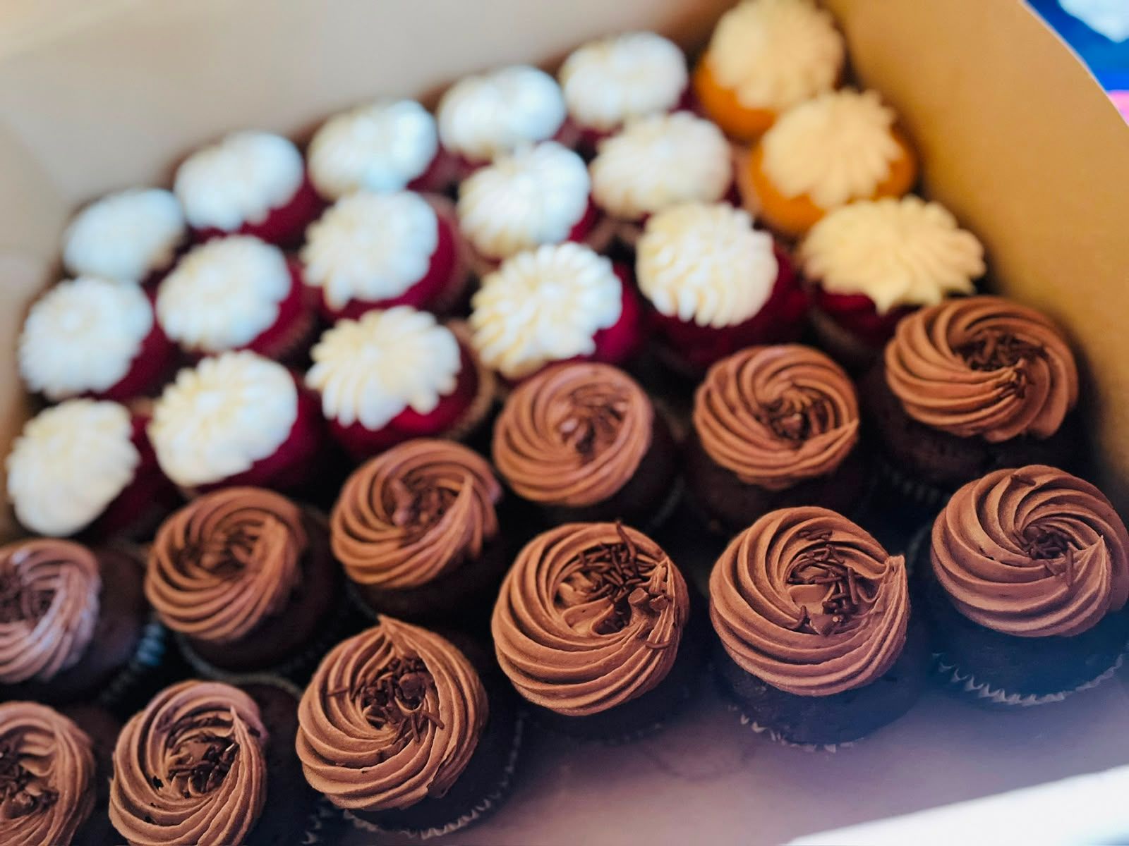 Chocolate & Vanilla Cupcakes by Baked by Buhlebenkosi