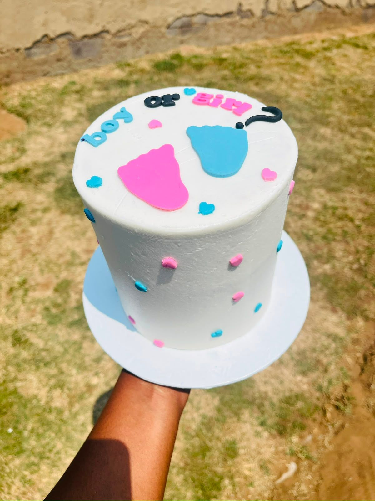 Gender Reveal Mini Cake by Baked by Buhlebenkosi