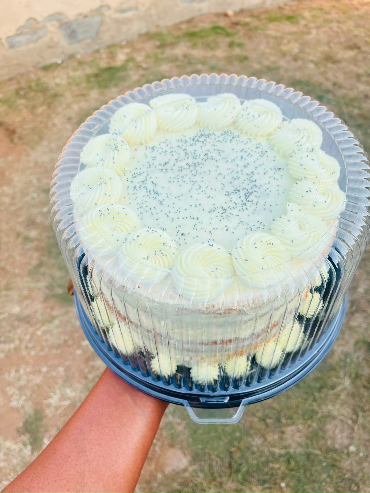 Vanilla Sprinkle Standard Cake by Baked by Buhlebenkosi